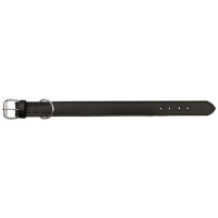 Obojok Active, M, 38-45 cm/40 mm, čierny (1/6)