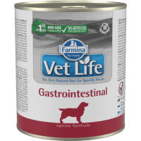 Vetlife Gastrointestinal dog konzerva 300 g