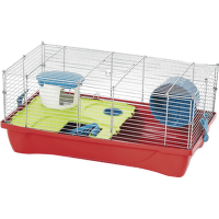 Būris kāmjiem – MPS2, HAMSTER 10 flat, 58 x 32 x 26 cm