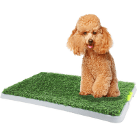 Туалет для щенков – AFP Pawise Green Trainer, 43 x 67 см