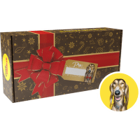 Vánoční mystery box pro střední a velké psy