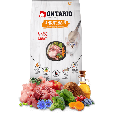Ontario Cat Shorthair 6,5 kg