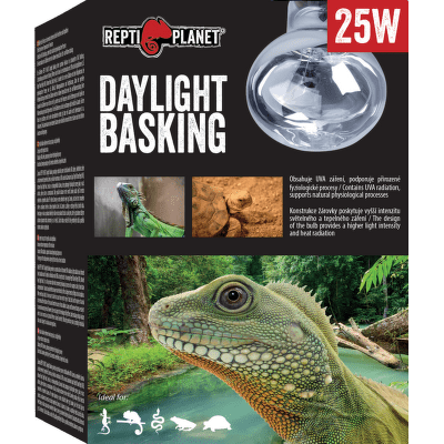Repti Planet žárovka Daylight Basking Spot 25W