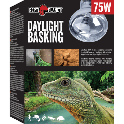 Repti Planet žárovka Daylight Basking Spot 75W