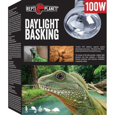 Repti Planet žárovka Daylight Basking Spot 100W