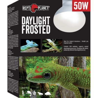 Repti Planet žárovka Daylight Frosted 50W