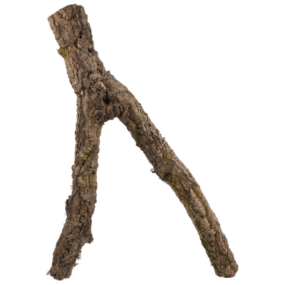 Dekorace Repti Planet Korková větev M 30-60cm