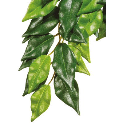 Rostlina EXO TERRA Ficus malá 45 cm