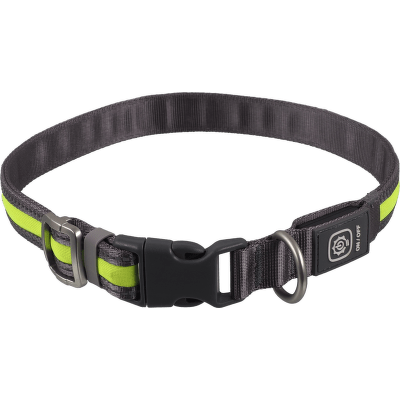 Svítící USB LED obojek Dog Fantasy S-M zelený