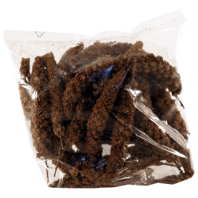 Senegalské proso Avicentra 100g