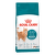 Корм для кошек – Royal Canin Ageing Sterilised 11+, 2 кг