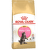 Корм для котят – Royal Canin Maine Coon Kitten, 10 кг