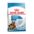 Royal Canin Maxi Starter 4 kg