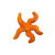 Dekors akvārijam – Starfish Assortment