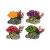 Dekors akvārijam – Mini Coral Assortment