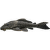 Prísavník Special L – Pleco Special
