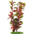 Rastlina MARINA Red Ludwigia 50 cm
