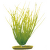 Rostlina Marina Hairgrass 20cm