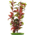 Rostlina Marina Red Ludwigia 20cm