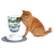 Labyrint CAT IT Design Senses