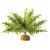 Декор для террариума - EXO TERRA Boston Fern, small