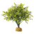 Декор для террариума - ExoTerra 'Boxwood Bush'