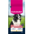 Krmivo Eukanuba Senior Medium kura 15kg