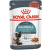 Royal Canin Feline Hairball Care 85g