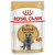 Консервы для кошек – Royal Canin British Shorthair, 85 г