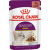 Консервы для кошек – Royal Canin Sensory, Smell in gravy, 85 г