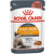 Royal Canin Cat Intense Beauty 85 g