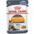 Консервы для кошек – Royal Canin Hair and Skin Care in Jelly, 85 г