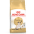 Barība kaķiem – Royal Canin Siamese, 0,4 kg
