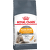 Barība kaķiem – Royal Canin Feline Hair and Skin Care, 0,4 kg