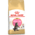 Корм для котят – Royal Canin Maine Coon Kitten, 2 кг