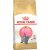 Barī­ba kaķēniem – Royal Canin Kitten British Shorthair, 10 kg