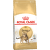 Bar­ība kaķiem – Royal Canin Bengal, 2 kg