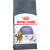 Barība kaķiem – Royal Canin Appetite control Care, 2 kg