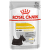 Konservi suņiem – Royal Canin Dermacomfort Loaf, 85 g