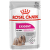 Konservi suņiem – Royal Canin Exigent Loaf, 85 g