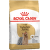 Barība suņiem – Royal Canin Yorkshire Terrier, 0,5 kg