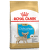 Royal Canin Čivava Junior 1,5 kg