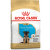 Barība kucēniem – Royal Canin German Shepherd Puppy, 12 kg
