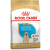 Barība kucēniem – Royal Canin Labrador Retriever Puppy, 3 kg