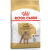 Royal Canin Poodle (Pudel) Adult granuly pre pudlíkov 1,5kg