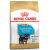 Корм для щенков – Royal Canin SN Yorkshire Terrier Puppy, 0,5 кг