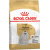 Barī­ba suņiem – Royal Canin Maltese, 1,5 kg