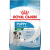 Royal Canin Mini Junior 800 g