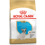 Корм для щенков – Royal Canin SN French Bulldog Puppy, 3 кг