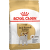 Barība suņiem – Royal Canin SN Jack Russell Terrier, 0,5 kg